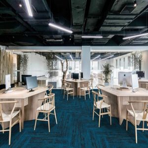 Thảm Skywalk SK59